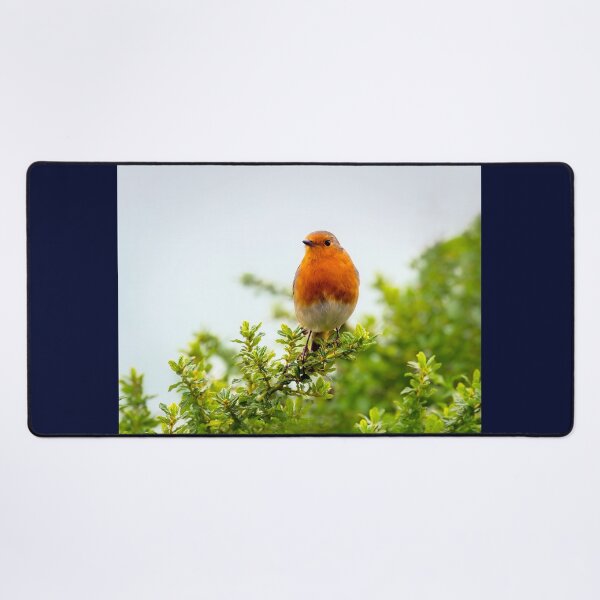 Item preview, English Robin Perched in Shrubbery designed and sold by Dorset Girl.