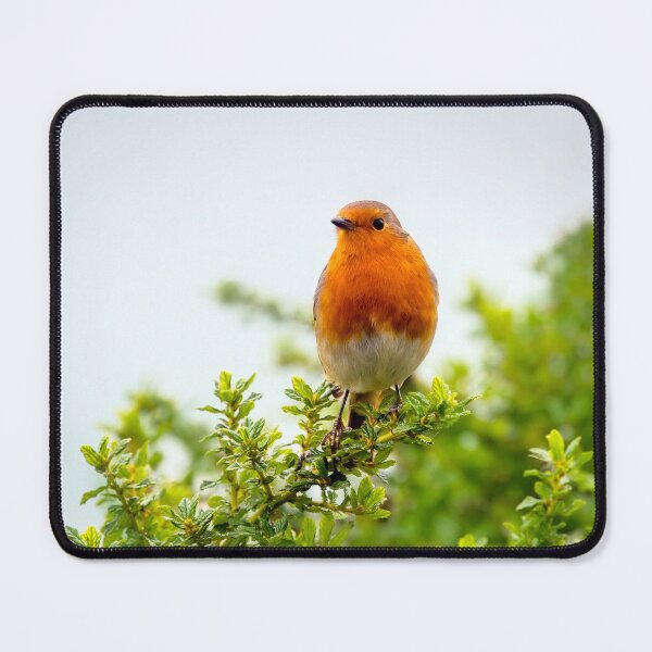 Item preview, English Robin Perched in Shrubbery designed and sold by Dorset Girl.