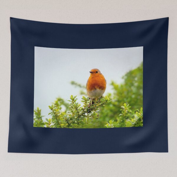 Item preview, English Robin Perched in Shrubbery designed and sold by Dorset Girl.