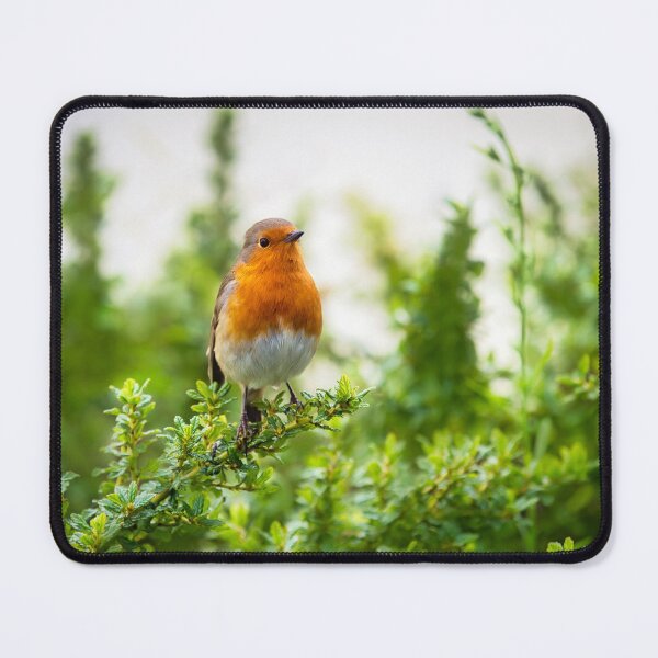 Item preview, English Robin Perched in Shrubbery designed and sold by Dorset Girl.