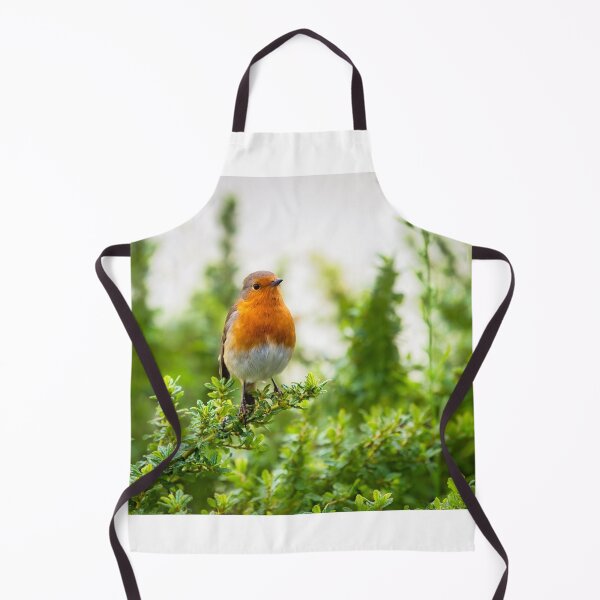 Item preview, English Robin Perched in Shrubbery designed and sold by Dorset Girl.
