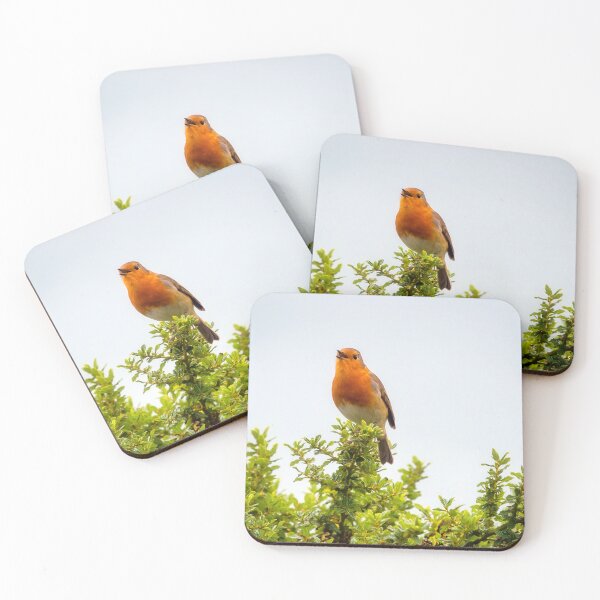 Item preview, English Robin Singing in the Autumn Sunshine designed and sold by Dorset Girl.