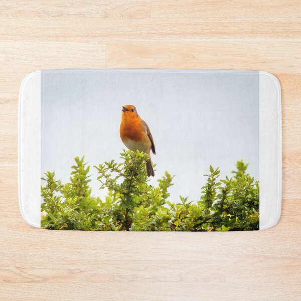 Item preview, English Robin Singing in the Autumn Sunshine designed and sold by Dorset Girl.