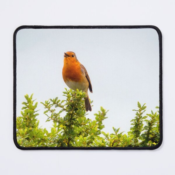Item preview, English Robin Singing in the Autumn Sunshine designed and sold by Dorset Girl.