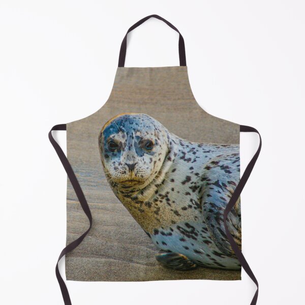 Item preview, Lone Sea Lion Image by Rich AMeN Gill designed and sold by RichAMeNGill.