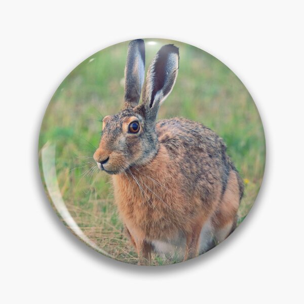 Item preview, hare designed and sold by ART-SUNRISE.