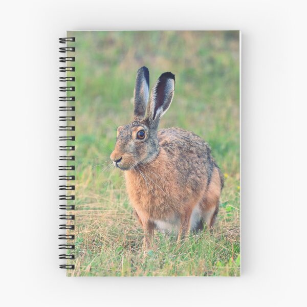 Item preview, hare designed and sold by ART-SUNRISE.
