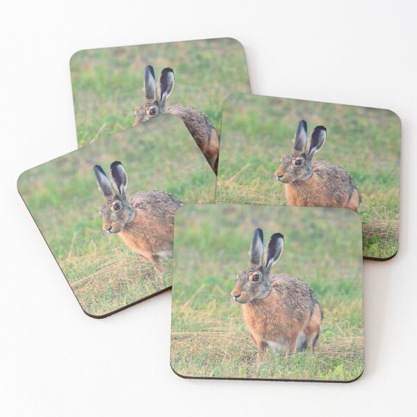 Item preview, hare designed and sold by ART-SUNRISE.