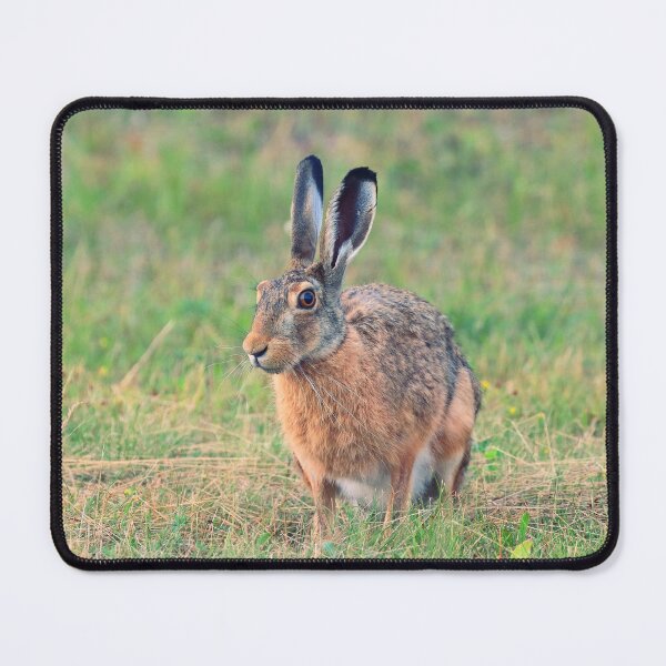 Item preview, hare designed and sold by ART-SUNRISE.