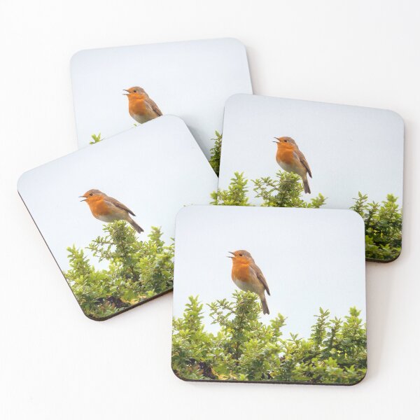 Item preview, English Robin Singing in the Autumn Sunshine designed and sold by Dorset Girl.