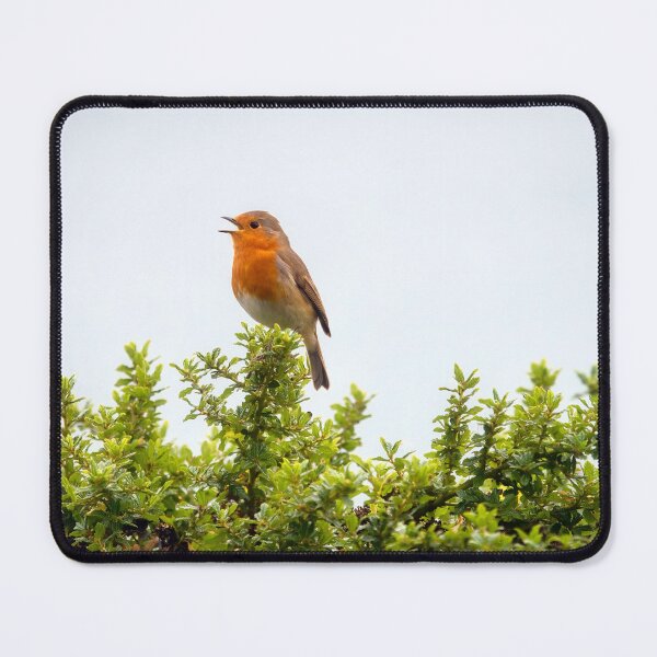 Item preview, English Robin Singing in the Autumn Sunshine designed and sold by Dorset Girl.