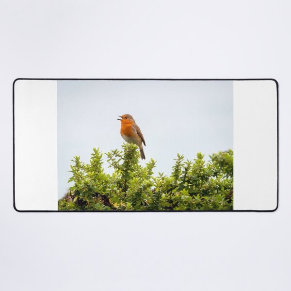 Item preview, English Robin Singing in the Autumn Sunshine designed and sold by Dorset Girl.
