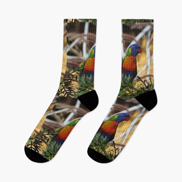 Item preview, Parrot on Point designed and sold by KazM.