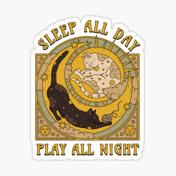 sleep-all-day-play-all-night-sticker-for-sale-by-thiagocorream