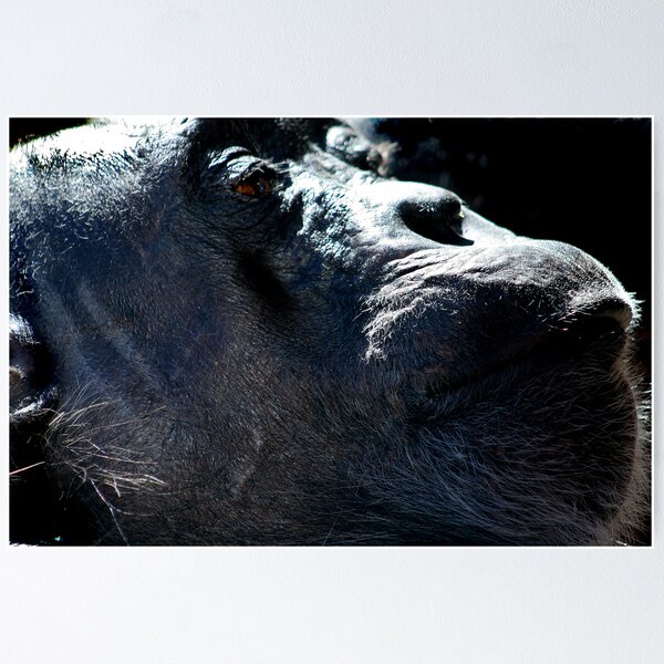 Item preview, DEEP IN THOUGHT designed and sold by Tracy King.