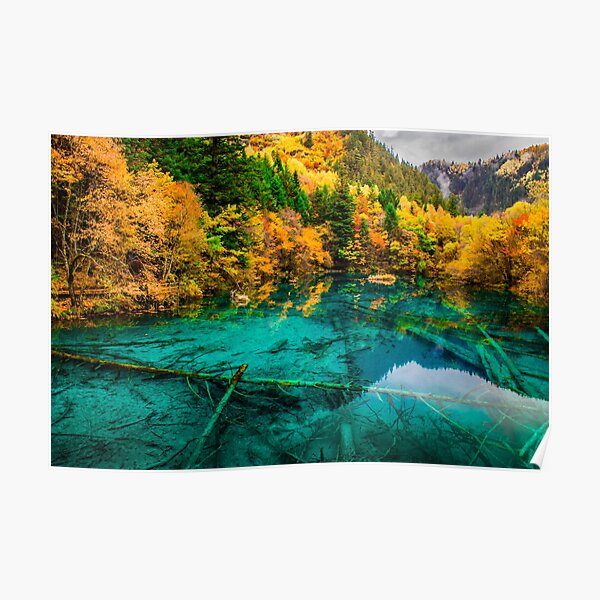 Autumn in Five-flower Lake, Jiuzhaigou (036) Poster