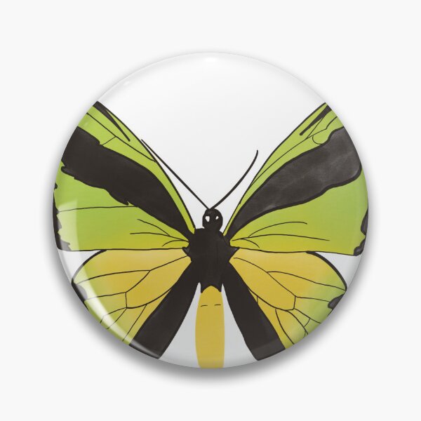 Item preview, Goliath Birdwing Butterfly designed and sold by maggiemuffin13.