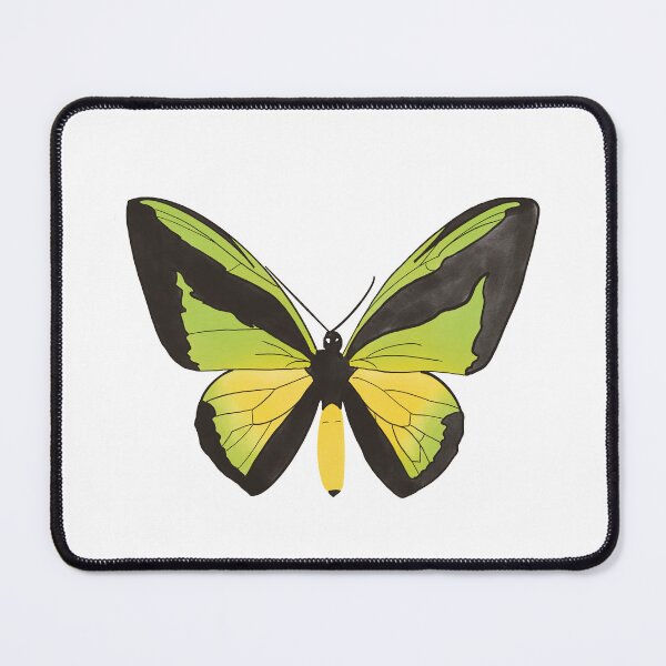 Item preview, Goliath Birdwing Butterfly designed and sold by maggiemuffin13.