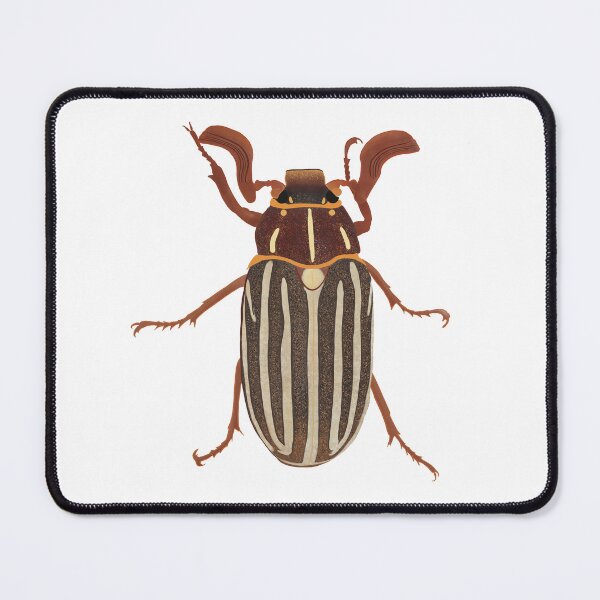 Item preview, June Beetle designed and sold by maggiemuffin13.