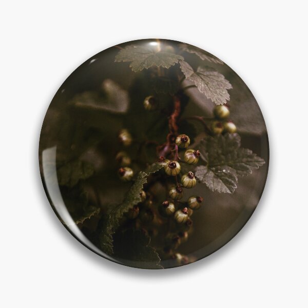 Item preview, Currant sprout, black currant designed and sold by ART-SUNRISE.