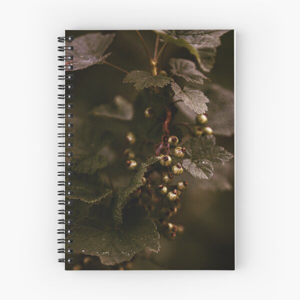 Item preview, Currant sprout, black currant designed and sold by ART-SUNRISE.