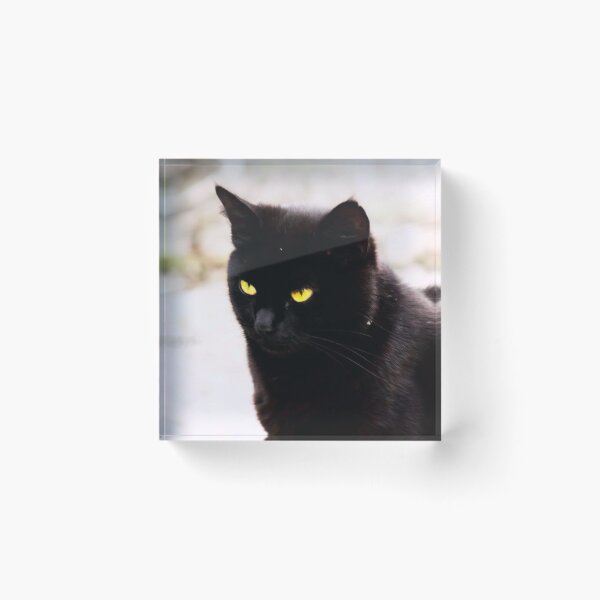 Item preview, black cat designed and sold by Francespoppy.