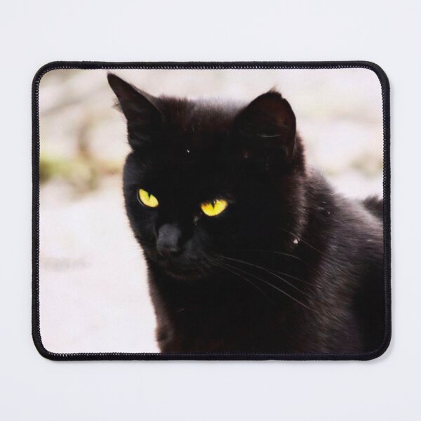 Item preview, black cat designed and sold by Francespoppy.