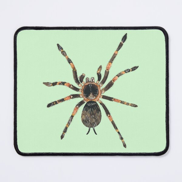 Item preview, TARANTULA-spider (light green) designed and sold by BEATRIZ ABAITUA.