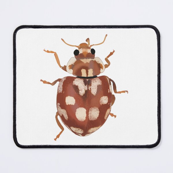 Item preview, 22 Spot ladybird ladybug designed and sold by maggiemuffin13.