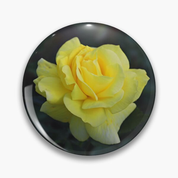 Item preview, Yellow rose my beautiful flower designed and sold by ART-SUNRISE.