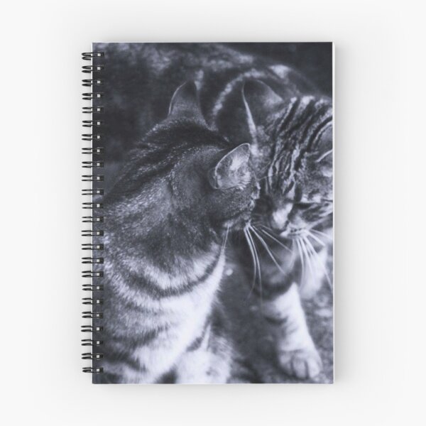 Item preview, tabby cats black and white designed and sold by Francespoppy.