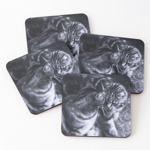 Item preview, tabby cats black and white designed and sold by Francespoppy.
