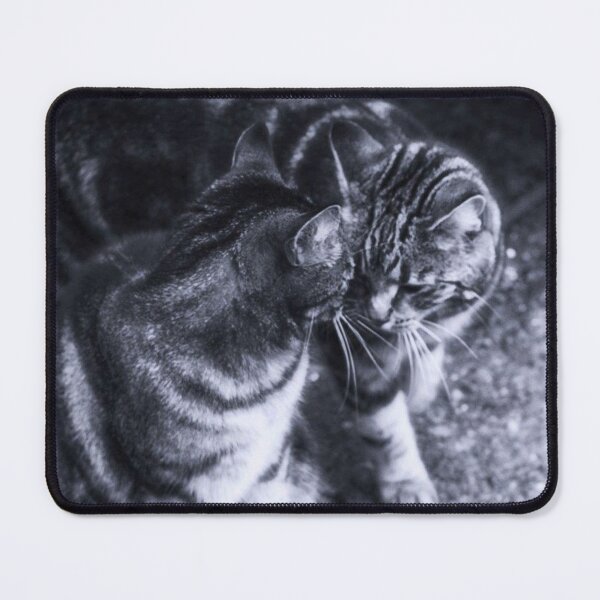 Item preview, tabby cats black and white designed and sold by Francespoppy.