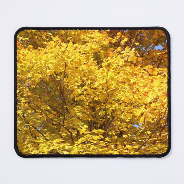 Item preview, Autumn Gold | Nature designed and sold by RedHandedOD.