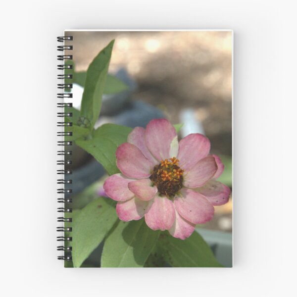 Item preview, Zinnia designed and sold by TheCandle.