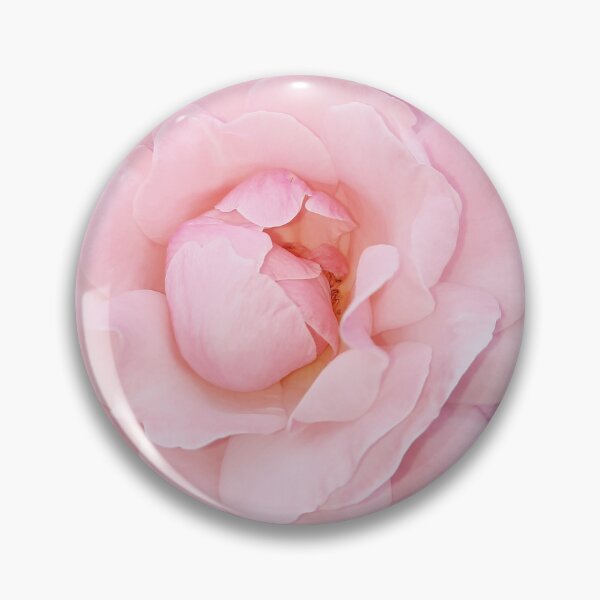 Artikelvorschau, Pinke Rose entworfen und verkauft von PhotosByJG.