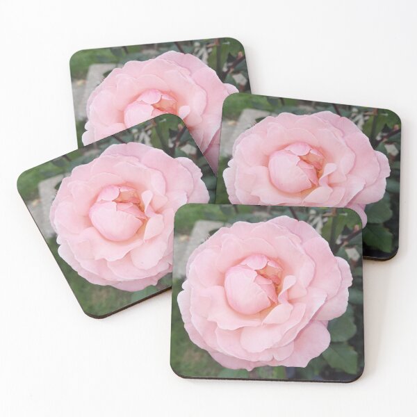 Artikelvorschau, Pinke Rose entworfen und verkauft von PhotosByJG.