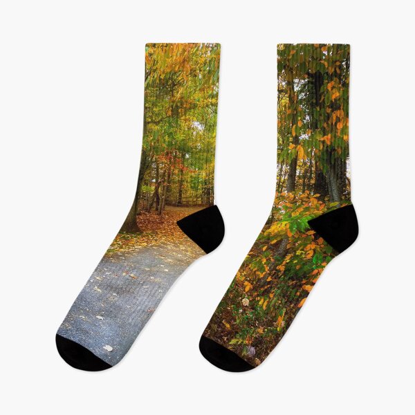 Item preview, Lake Wallenpaupack Walking Trail designed and sold by Kathy Weaver.