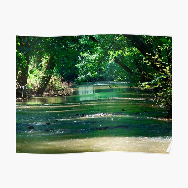 Peace and harmony Poster