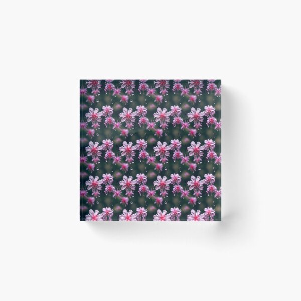 Item preview, Tiled Design 056 designed and sold by snoutandbeak.
