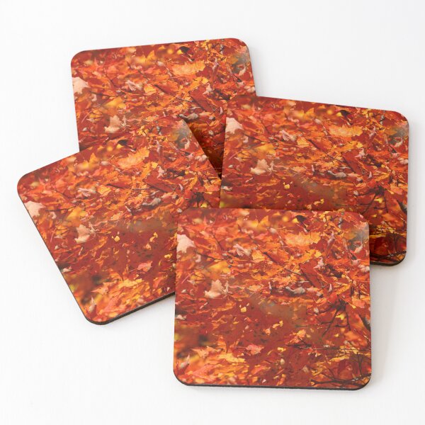 Item preview, October Orange    |    Nature designed and sold by RedHandedOD.