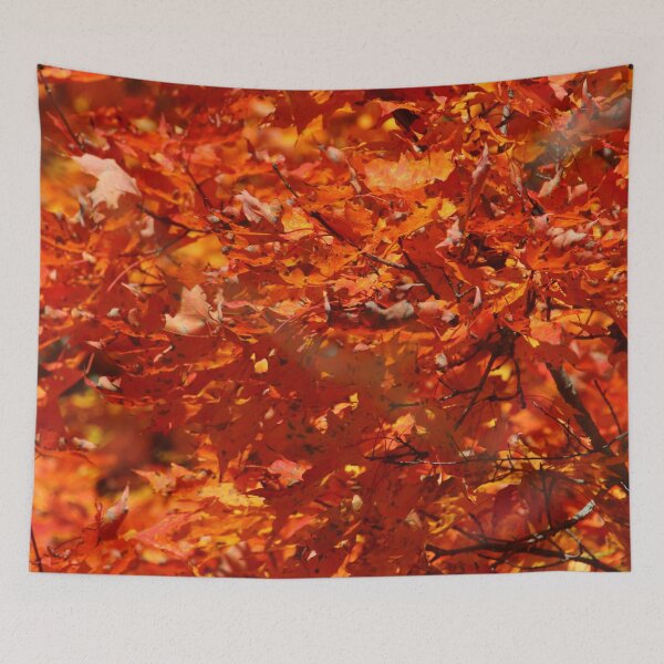 Item preview, October Orange    |    Nature designed and sold by RedHandedOD.