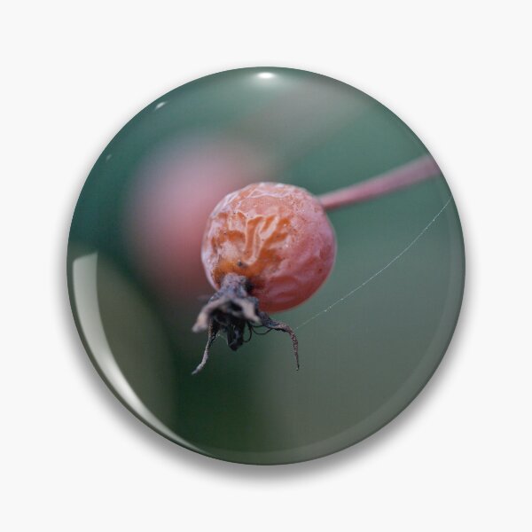 Item preview, Seen on my afternoon walk. designed and sold by Gabriele Maurus.