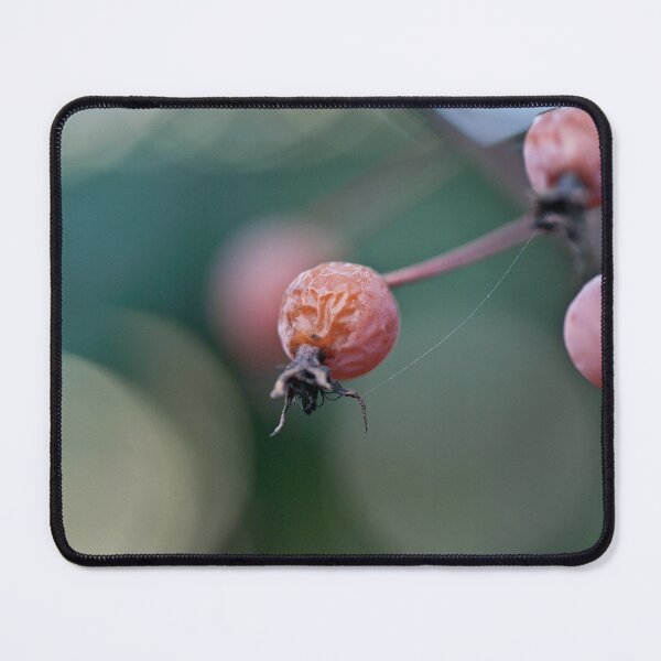 Item preview, Seen on my afternoon walk. designed and sold by Gabriele Maurus.