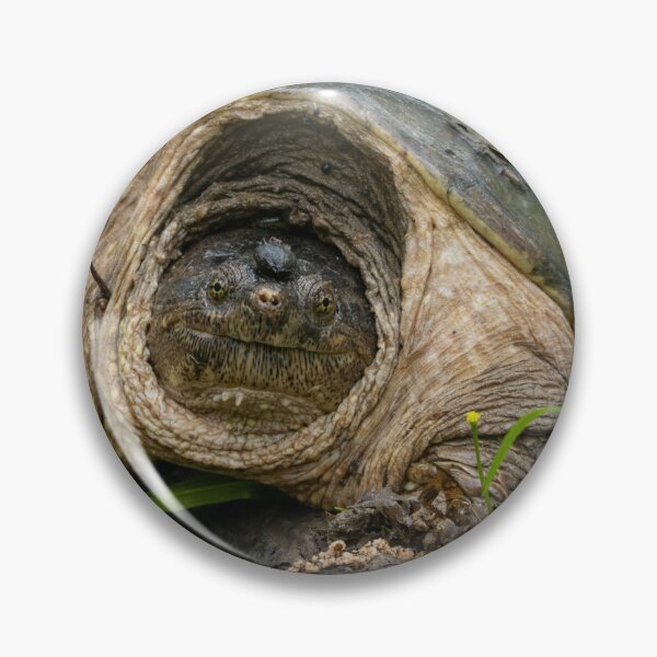 Item preview, snapping turtle designed and sold by FlyingLilly.