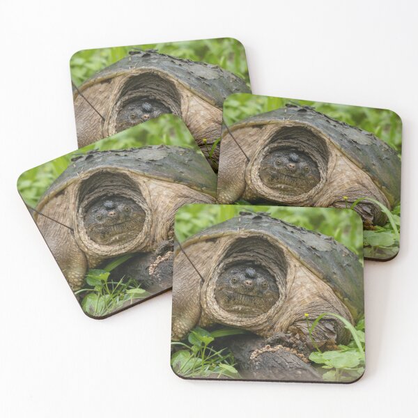 Item preview, snapping turtle designed and sold by FlyingLilly.