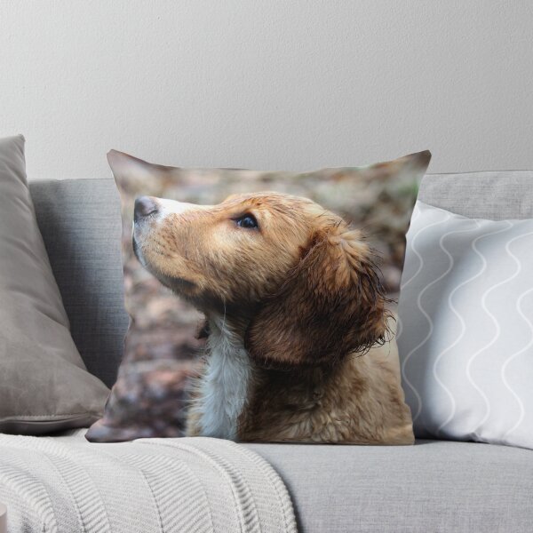 Item preview, Spaniel Pup designed and sold by Zoe Gladwin.