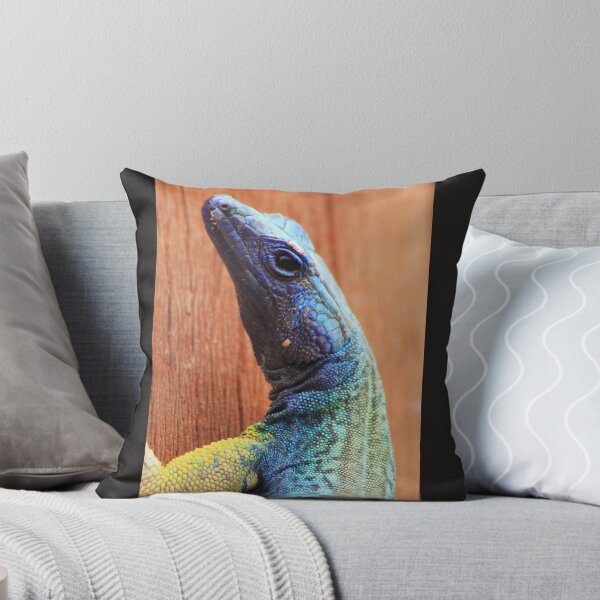 Item preview, Agama designed and sold by Chantelle Benade.