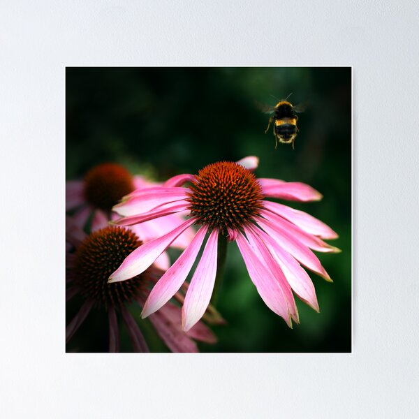 Item preview, Buzz designed and sold by Didi Bingham.