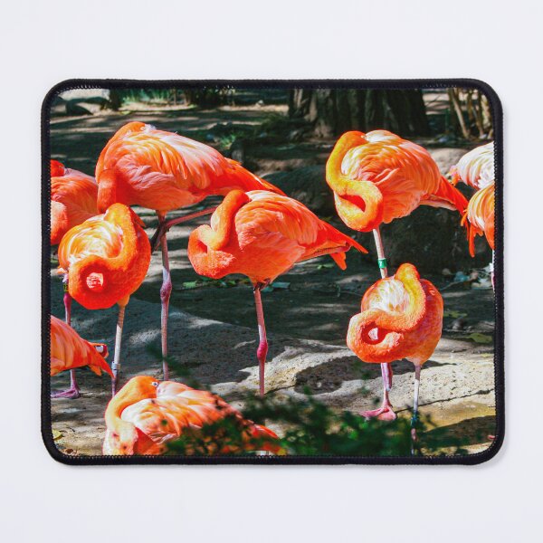 Item preview, Flamingos Image by Rich AMeN Gill designed and sold by RichAMeNGill.